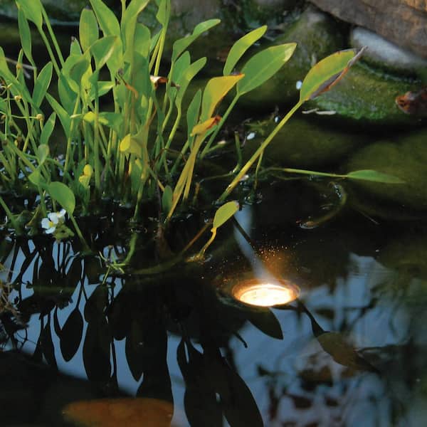 Pond and Landscape Light