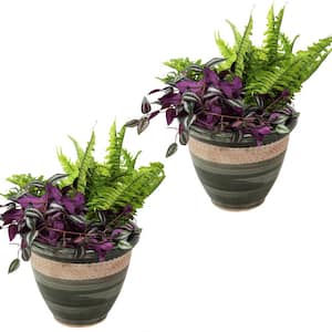 2 Purlieu 12 in. Tempest Ceramic Indoor/Outdoor Planters