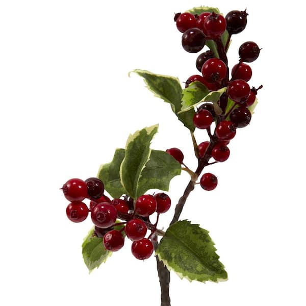 Set of 24: Burgundy Holly Berry Stems with 35 Lifelike Berries, 17-Inch, Festive Holiday Decor, Trees, Wreaths, & Garlands, Christmas Picks, Home  & Office Decor