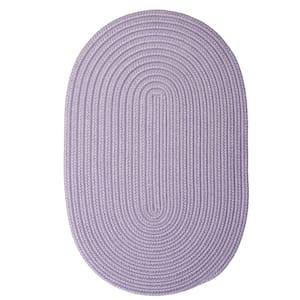 Trends Amethyst 2 ft. x 3 ft. Oval Braided Area Rug