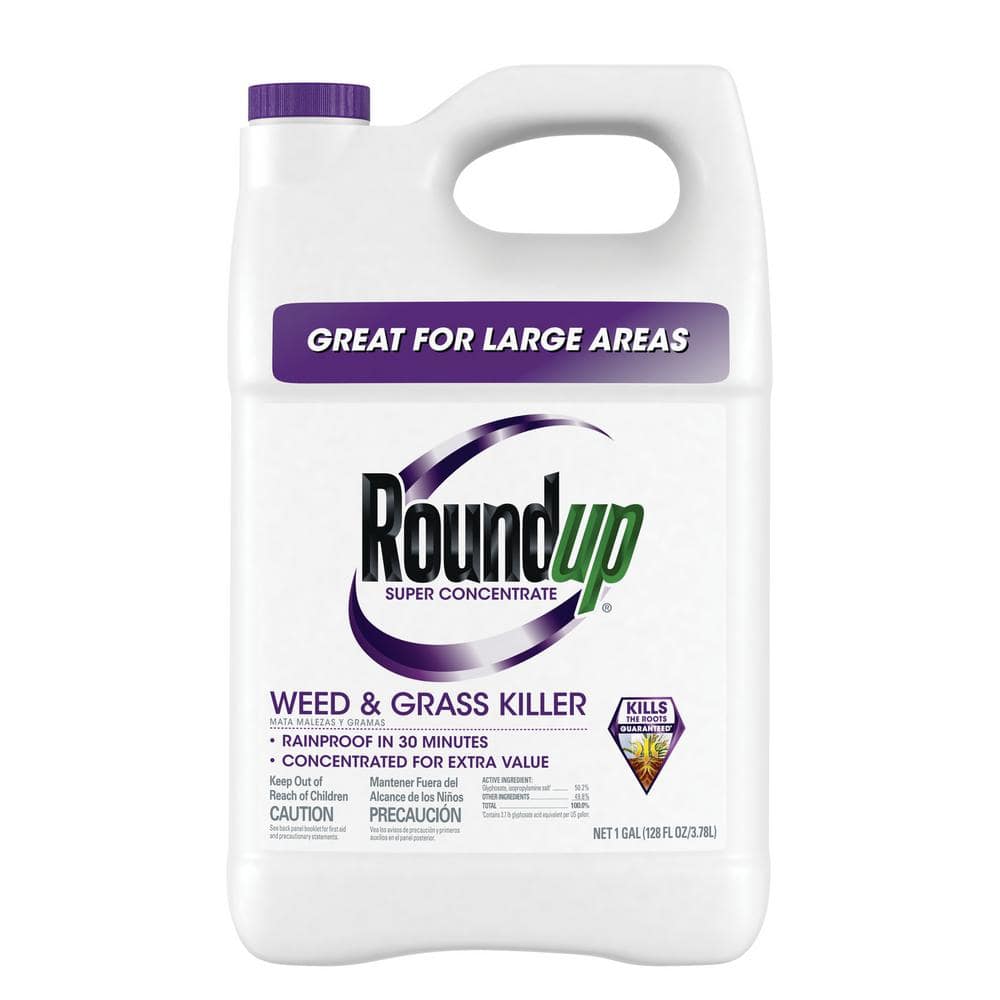Roundup Rapid Concentré pour allées 990 ml