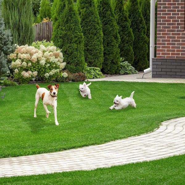 Kingdely 6.6 ft. x 13 ft. Green Artificial Grass Sod XLH0999-01-05