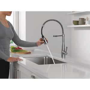 Essa Single Handle Pull Down Sprayer Kitchen Faucet with Spring Spout in Arctic Stainless