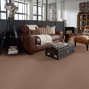 Palmdale I - Toasty Warm - Brown 17.6 oz. Polyester Texture Installed Carpet