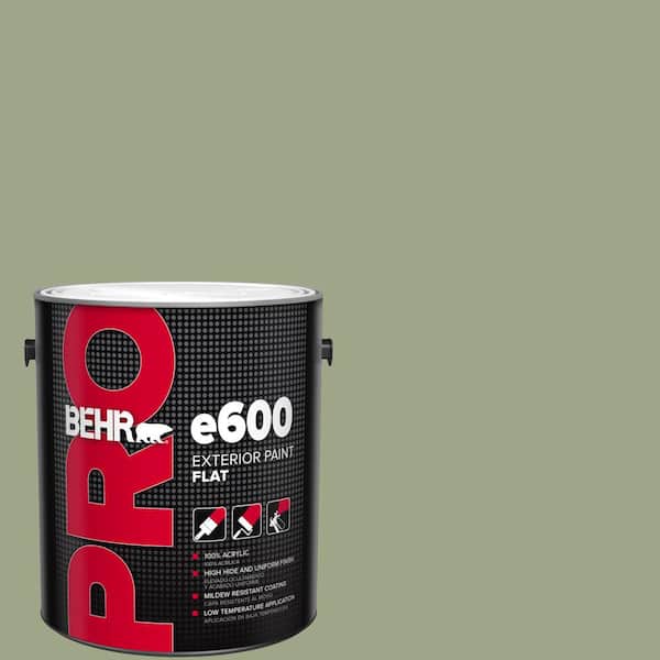 BEHR PRO 1 gal. #PPU11-07 Clary Sage Flat Exterior Paint