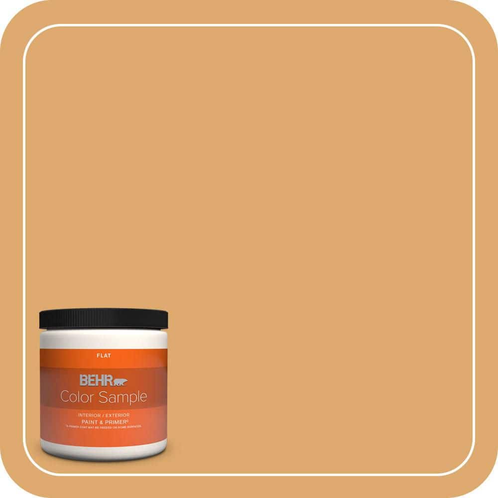 8 oz. Home Decorators Collection #HDC-FL13-2 Corn Maze Flat Interior/Exterior Paint & Primer Color Sample price history on PriceWatchPro