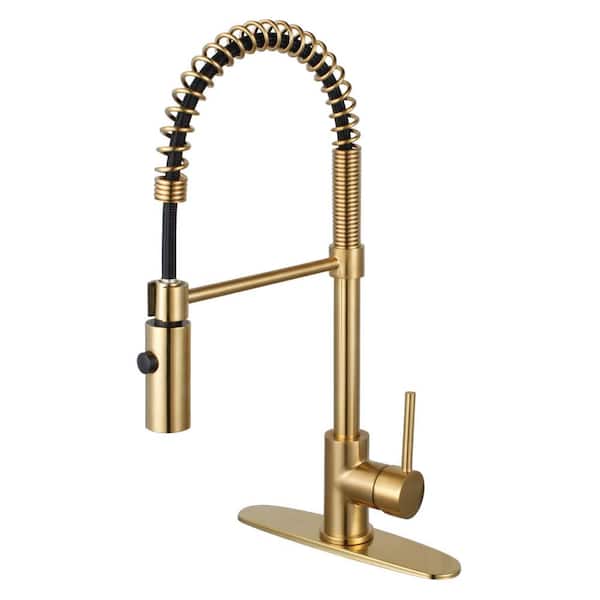 Kingston Brass Concord Pre-Rinse Single-Handle Pull-Down Sprayer Kitchen Faucet in Brushed Brass