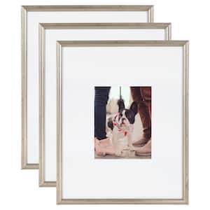 Adlynn 16 in. x 20 in. matted to 8 in. x10 in. Silver Picture Frames (Set of 3)