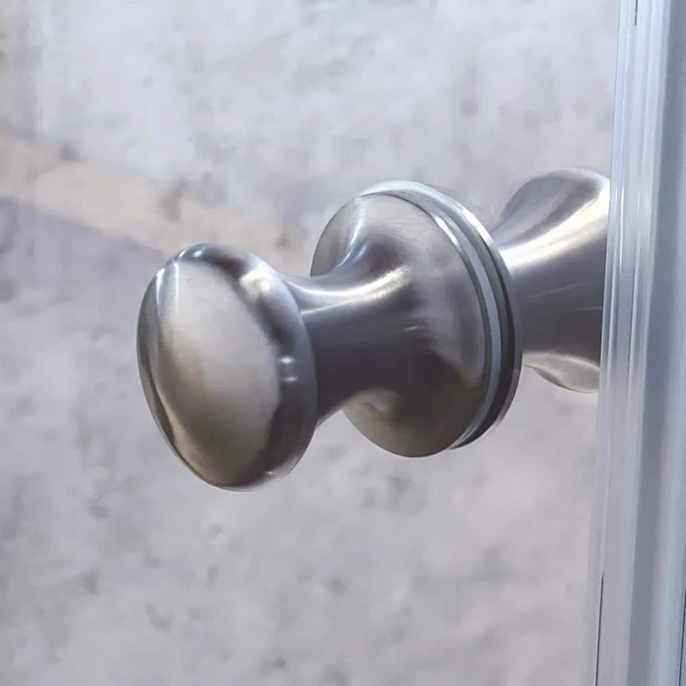 Lyna 70" High x 30" Wide Frameless Shower Door in Brushed Stainless Steel