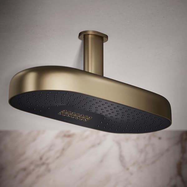 Statement Oblong 2-Spray Patterns 2.5 GPM 18 in. Ceiling Mount Rainhead Fixed Shower Head in Vibrant Brushed Bronze