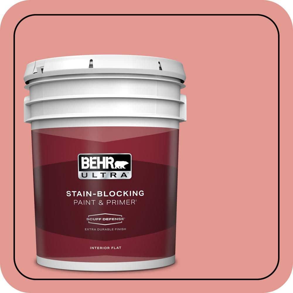 5 gal. #160D-4 Strawberry Rose Extra Durable Flat Interior Paint & Primer price history on PriceWatchPro