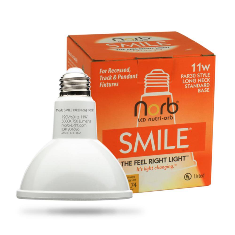 ELECWISH NorbSMILE 11W Equivalent PAR30 SunSpectrum 5000K Smile Bright