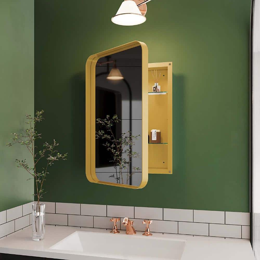 16 in. W x 24 in. H Rectangular Wall Mirror, Recessed Metal Framed Wall Mir