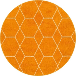 Trellis Frieze Orange/Ivory 4 ft. x 4 ft. Round Geometric Area Rug