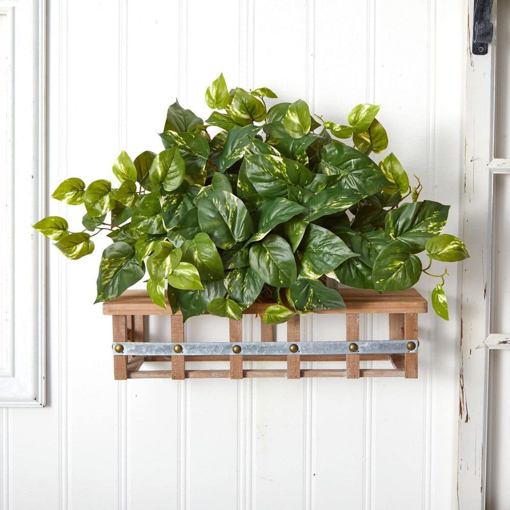Elegant Pothos Silk Tabletop Plant in Compact Plastic