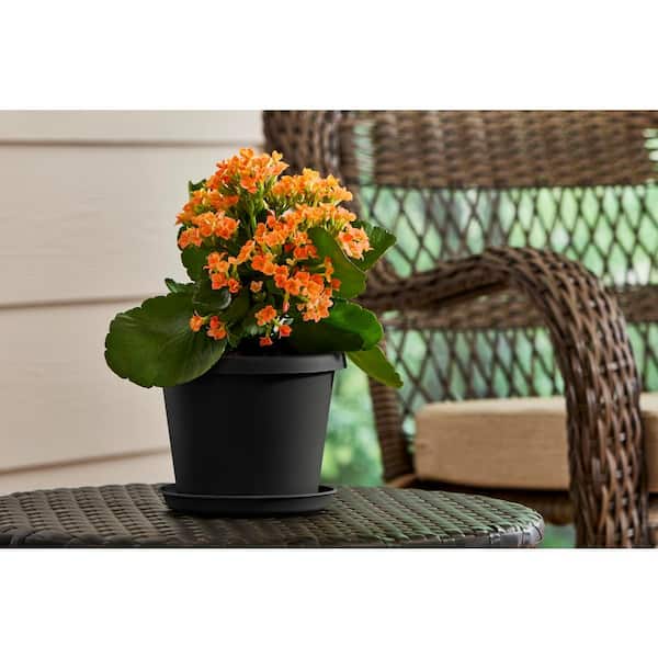 Black - Small - Plant Pots - The Home Depot
