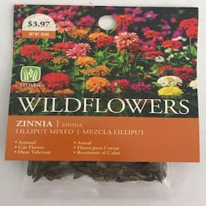 Zinnia Lilliput Mixed Flower Seed