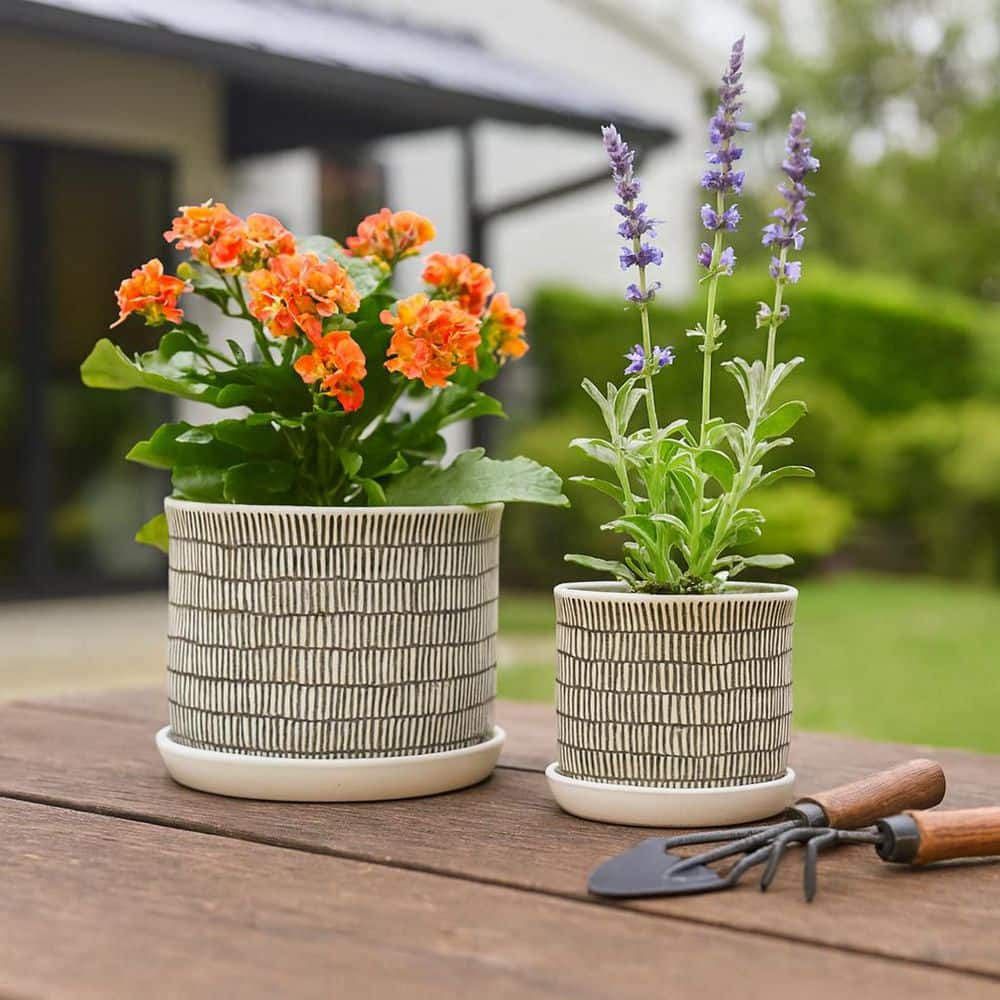 ivory-liv-skye-plant-pots-