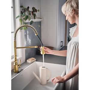 Weymouth Single-Handle Pre-Rinse Spring Pulldown Sprayer Kitchen Faucet with Power Clean in Brushed Gold