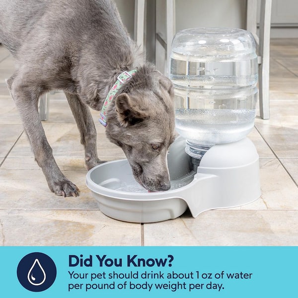 Dog Water Dish Reviews For Aspen Pet Bleached Linen Gravity