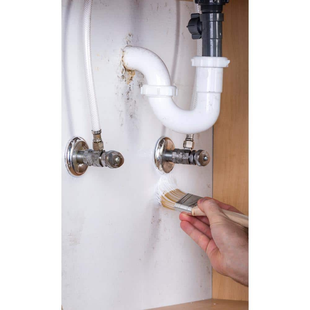 5 gal. Mold Killing Interior/Exterior Primer Best Deals and Price