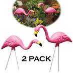 Pink Flamingo (2-Pack)