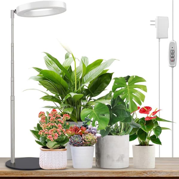 Full Spectrum LED Grow Light with 4/8/12H Timer and 4 Dimmable Levels, Desk Plant Lamp for Indoor Growing