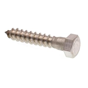 3/8 in. x 2 in. Grade 18-8 Stainless Steel Hex Lag Screws (25-Pack)