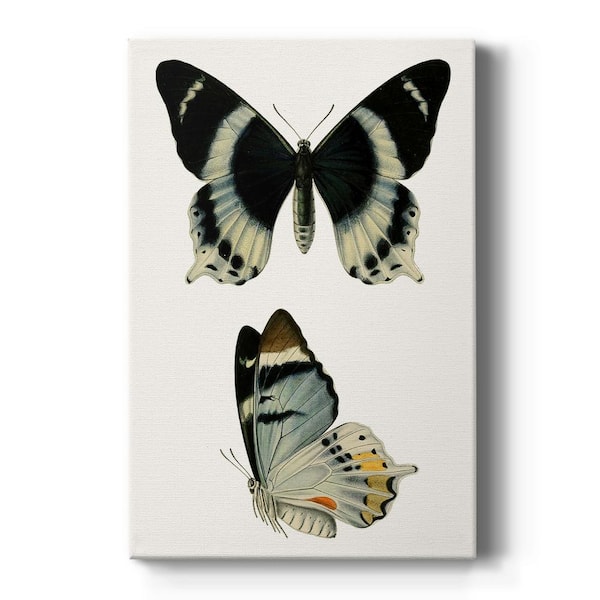 Wexford Home Antique Blue Butterflies I By Wexford Homes Unframed Giclee Home Art Print 48 in. x 32 in.