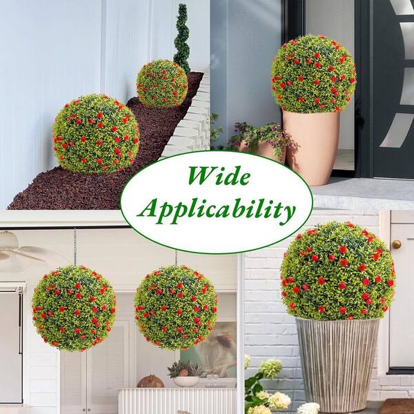 indoor palm plants for sale Majesty Palm
