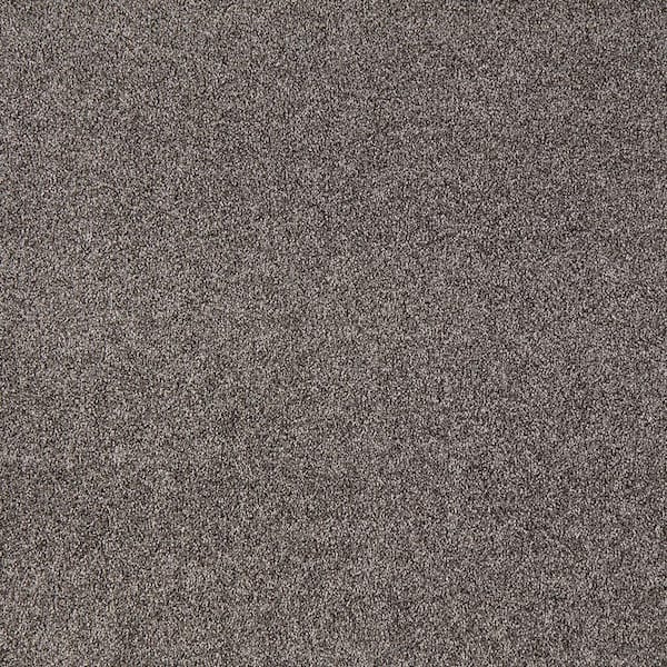 Lifeproof with Petproof Technology Silver Mane I - Ancestral Haze - Gray 50 oz. Triexta Texture Installed Carpet