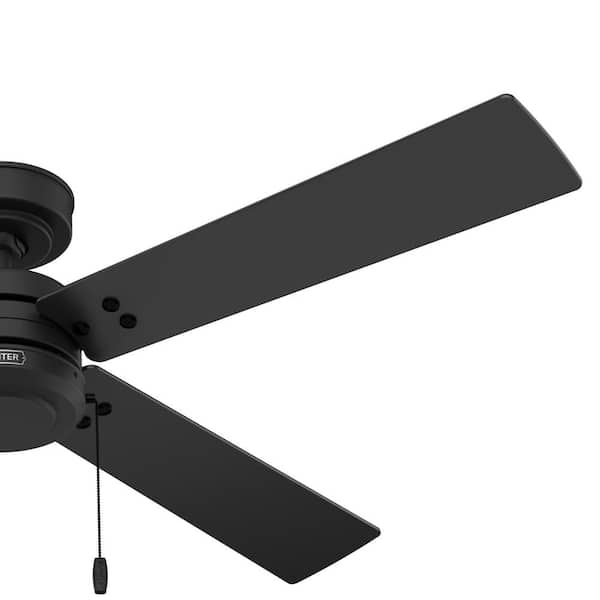 Hunter Midnight Prairie 52 in. Indoor/Outdoor Matte Black Standard