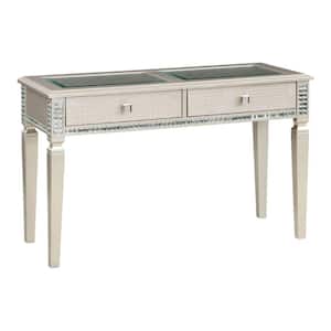 19 in. Silver Rectangle Glass Top Console Table with 2-Drawers