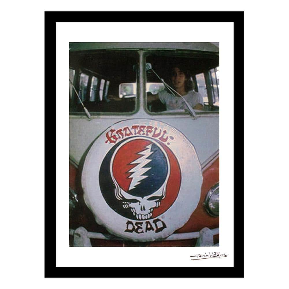 The Grateful Dead Iconic Style Vintage by Fairchild Paris 1-Piece Framed Graphic Print Abstract 18 in. x 14 in. price history on PriceWatchPro