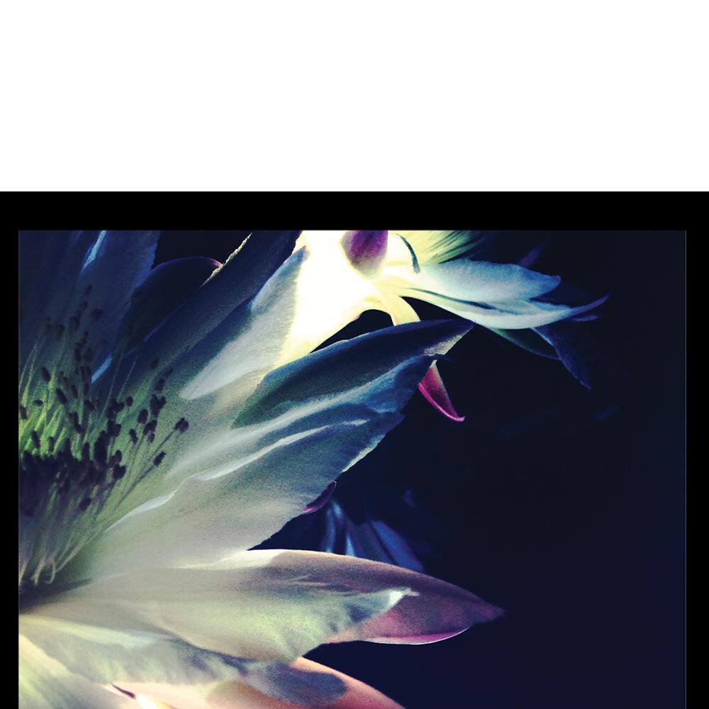 Blossoms Touch Black Framed Floral Print for Kids