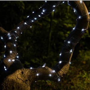 100-Light 20 ft. Platinum Solar Integrated LED String Light (4-Pack)