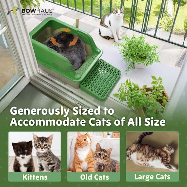 best cat litter box com Modkat XL Starter Kit