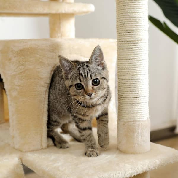 Functional cat outlet furniture