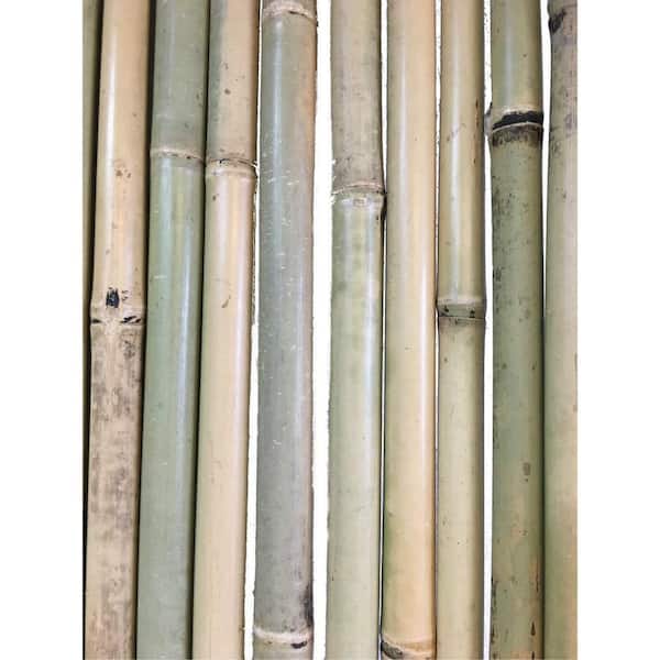 Master Garden Products Tonkin 4 ft. H x 8 ft. L. Bamboo