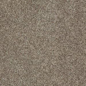 Gorrono Ranch I  - Sundial - Beige 30 oz. Triexta Texture Installed Carpet