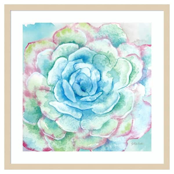 Amanti Art Sweet Succulents I by Cynthia Coulter 25 in. W x 25 in. H. Wood Framed Wall Art Print Framed in Brown
