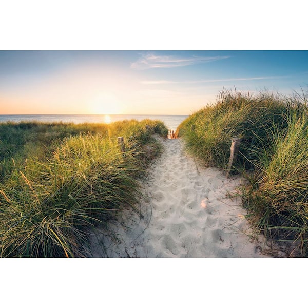 144.8 in. x 97.6 in. Blue Way to the Beach Wall Mural