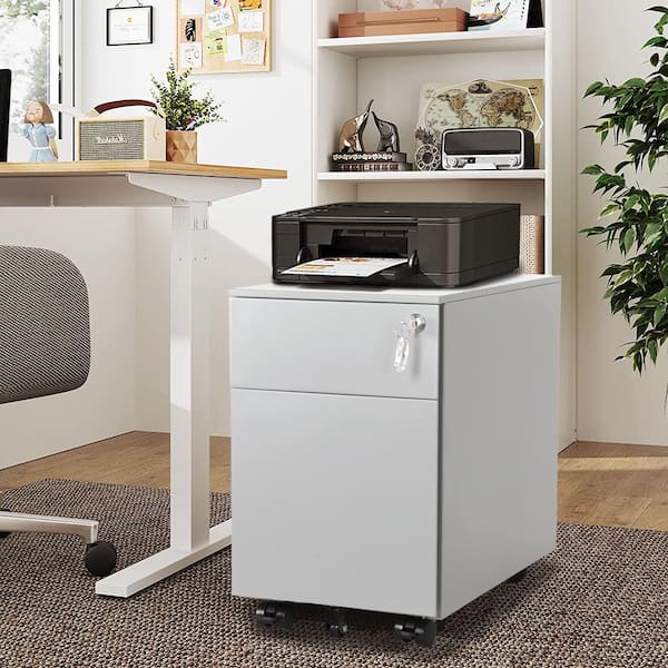 Cadeninc Gray Mobile Metal File Cabinet With 2 Drawer And Lock Fully Assembled Sin Lqw1 2405 The