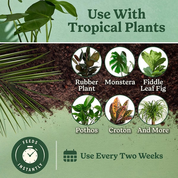 Indoor Plant Food for Tropical 8 fl. oz. Liquid Plant Food for Tropical Houseplants