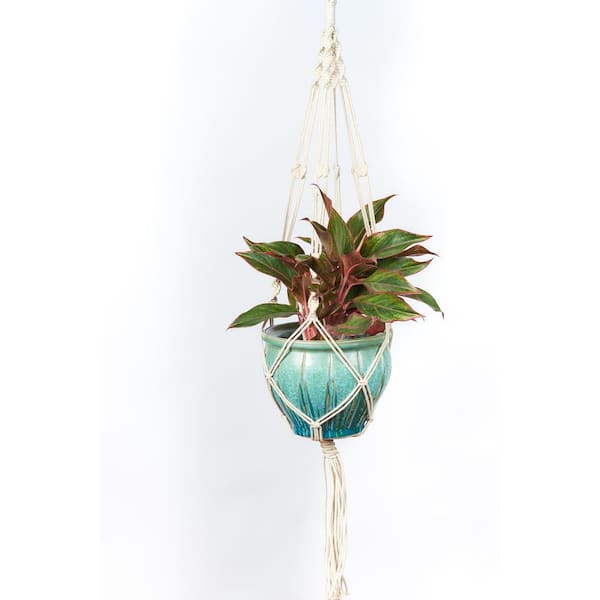 42 in. Woven Cotton Plain Cord Plant Hanger
