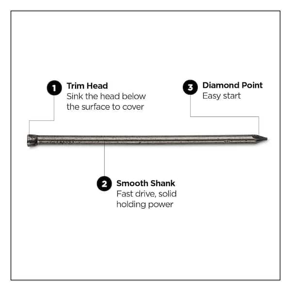 Pro-Fit 16D 3-1/2 in. Finish Hot-Dipped Galvanized Steel Nail Brad Head 1 lb