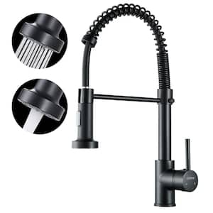 Single-Handle Pull Down Sprayer Coil Spring High-Arc Kitchen Faucet with Deckplate Sink Faucet in Matte Black