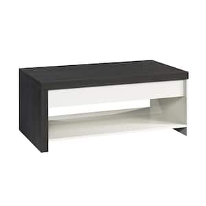 Hudson Court 41.496 in. Charcoal Ash Rectangle Engineered Wood Lift-Top Coffee Table