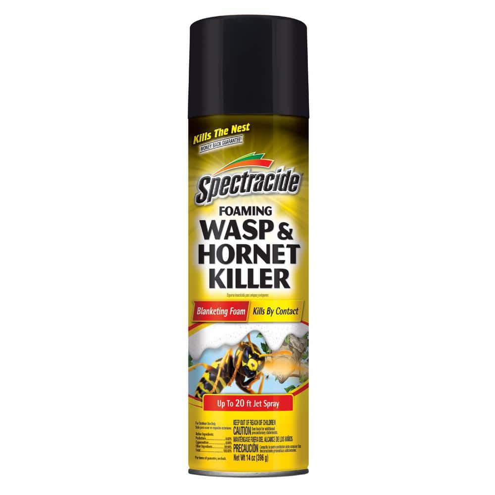 Spectracide 14 oz. Foaming Wasp and Hornet Insect Killer Aerosol Spray  HG-67404 - The Home Depot