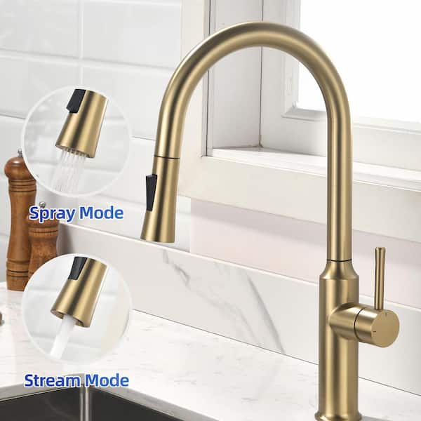 RAINLEX Single Handle Pull-Down Sprayer Kitchen Faucet in Brushed